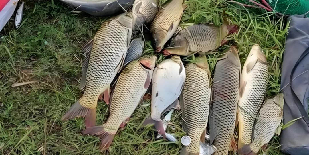 空军, 水区了, 灵活应对变