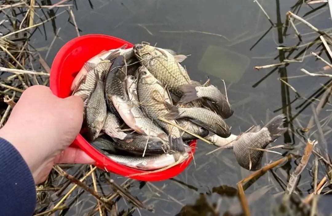 界正在发生, div, 到来